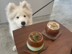 -稀物集咖啡(徽州大道店)