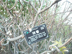 -荆川公园