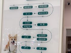 -瑞派康怡24h宠物医院·犬猫医疗中心·微创绝育(瑞景分院)