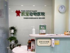 -悦宠凯宝动物医院·牙科·皮肤科(朝阳北路店)