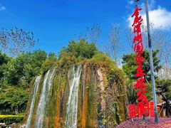 -合肥滨湖国家森林公园