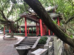 -广州市白云山风景名胜区