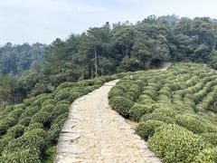 -西湖风景区十里琅珰-五云山
