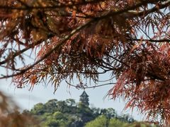 -上海辰山植物园