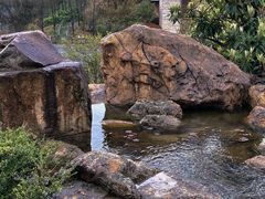 -杭州桐庐康莱德酒店西餐厅-舍