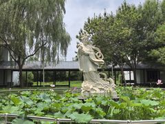 -白洋淀景区