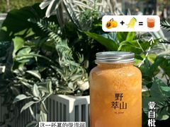 -野萃山·潮汕厚果汁(十亩地店)