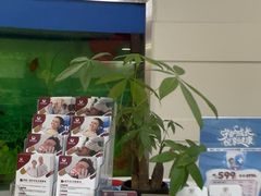 -雅悦齿科(顾村公园店)