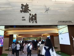 -溱湖国家湿地公园