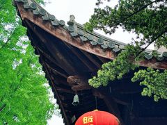 -龙华寺