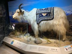 -正佳自然科学博物馆