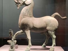 -广西壮族自治区博物馆