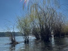 -洱海月湿地公园
