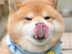 -无限量·自助·烤肉·火锅·海鲜(樾河南路店)