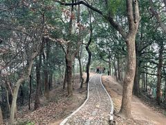 -杭州植物园