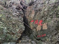 -天女山森林公园