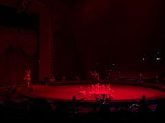 -珠海横琴长隆《卡卡虎奇遇记》