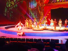 -珠海横琴长隆《卡卡虎奇遇记》