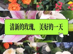 -雪蔓之鲜花气球派对(家佳源时代中心店)