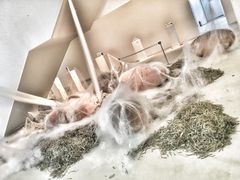 -上海油画雕塑院