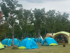 -上海海湾国家森林公园