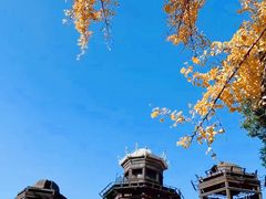 -故宫博物院(故宫)
