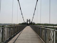 -西青郊野公园