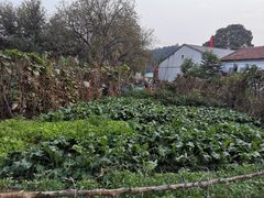 -姥家大锅台水库渔家