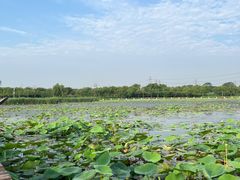 -天津东丽湖风景区