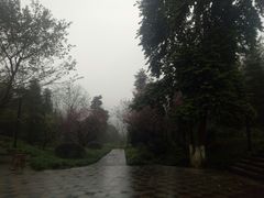 -重庆彩云湖湿地公园