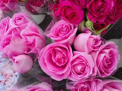 -三圣花乡旅游区