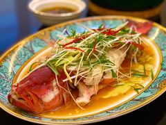 东星斑-盒马鲜生(莱蒙都会店)