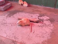 -杭州野生动物世界