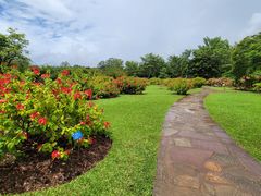 -中国科学院西双版纳热带植物园