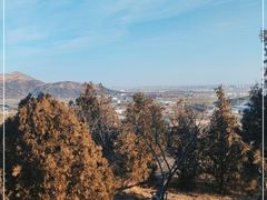 -白水寺森林公园