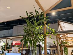 -渝信川菜 · 川味家常菜(财富购物中心店)