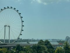 -新加坡文华东方酒店