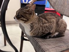 -中田健身工作室(嘉定江桥店)