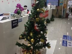 -新航道雅思托福·留学·考研培训(人民广场校区)