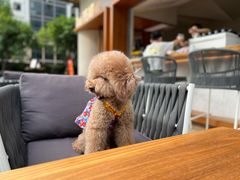 -The PEAT Coffee(深业中城店)