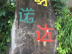 -呀诺达热带雨林