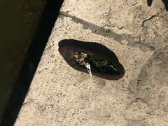 -多瑙河畔鞋履雕塑