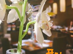 -金枝玉叶上海人家食府(三里河店)