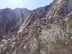 -北京凤凰岭