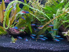 -上海海洋水族馆