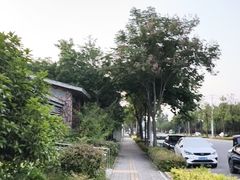 -洨河生态公园