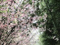 -荆川公园