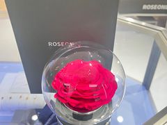 -ROSEONLY诺誓(广州K11店)