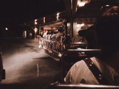 -清迈夜间动物园