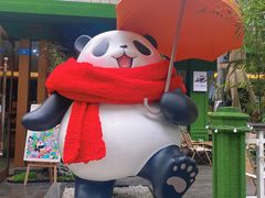 -轩客会(熊猫书店)